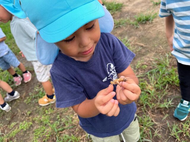 .
虫探し🔍🐝🐞🐜

段々と暑さが和らぎ、
外で遊べるようになってきました☀️

フルムーンの園庭には虫がたくさん！

虫を触るのは少しドキドキするけど、でもちょっと触ってみたい....

興味津々の子どもたちです😆🎵

#フルムーンインターナショナルこども園おおの
#1歳児
#2歳児
#3歳児